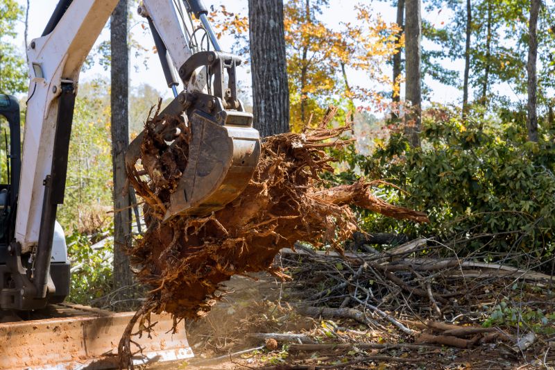 Root Removal Cost Guide — Cost of Root Removal