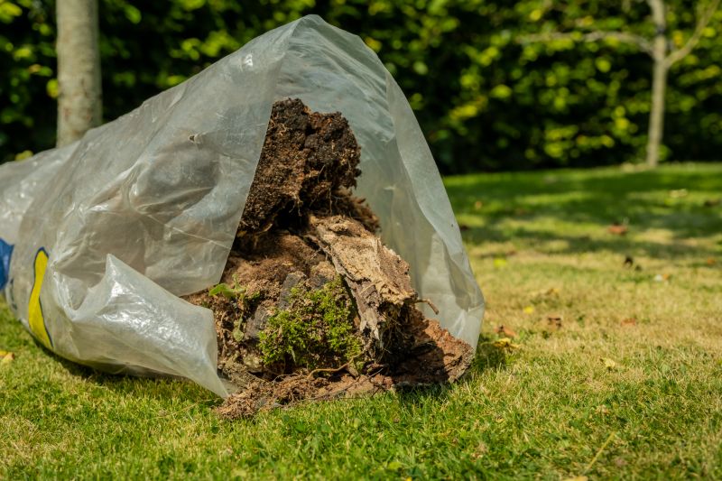 Root Removal Cost Guide — Cost of Root Removal