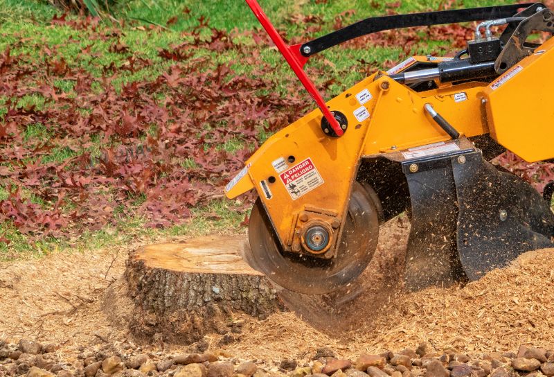 Stump Grinding Specialists